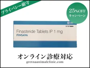 フィンサバ